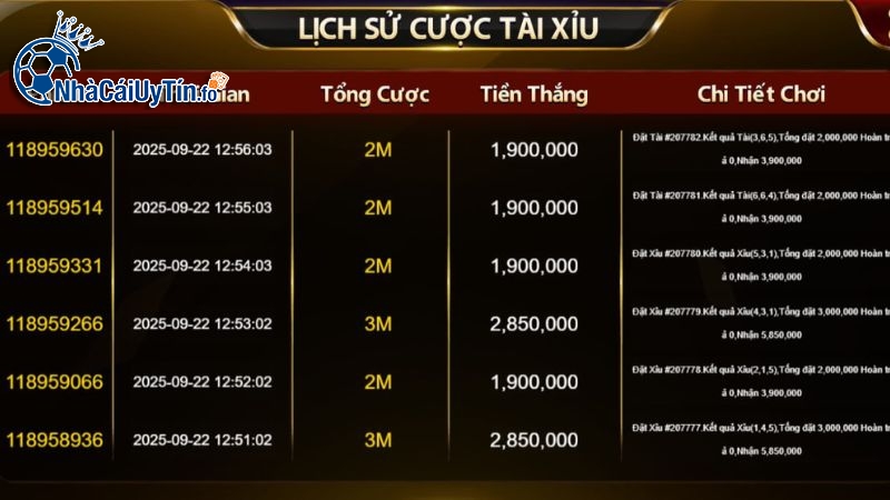 Cách quản lý vốn cá cược bằng lịch sử cược